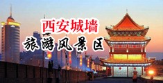 我要老逼。我要干逼好粗好爽中国陕西-西安城墙旅游风景区