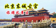 美女扣出浆视频中国北京-东城古宫旅游风景区